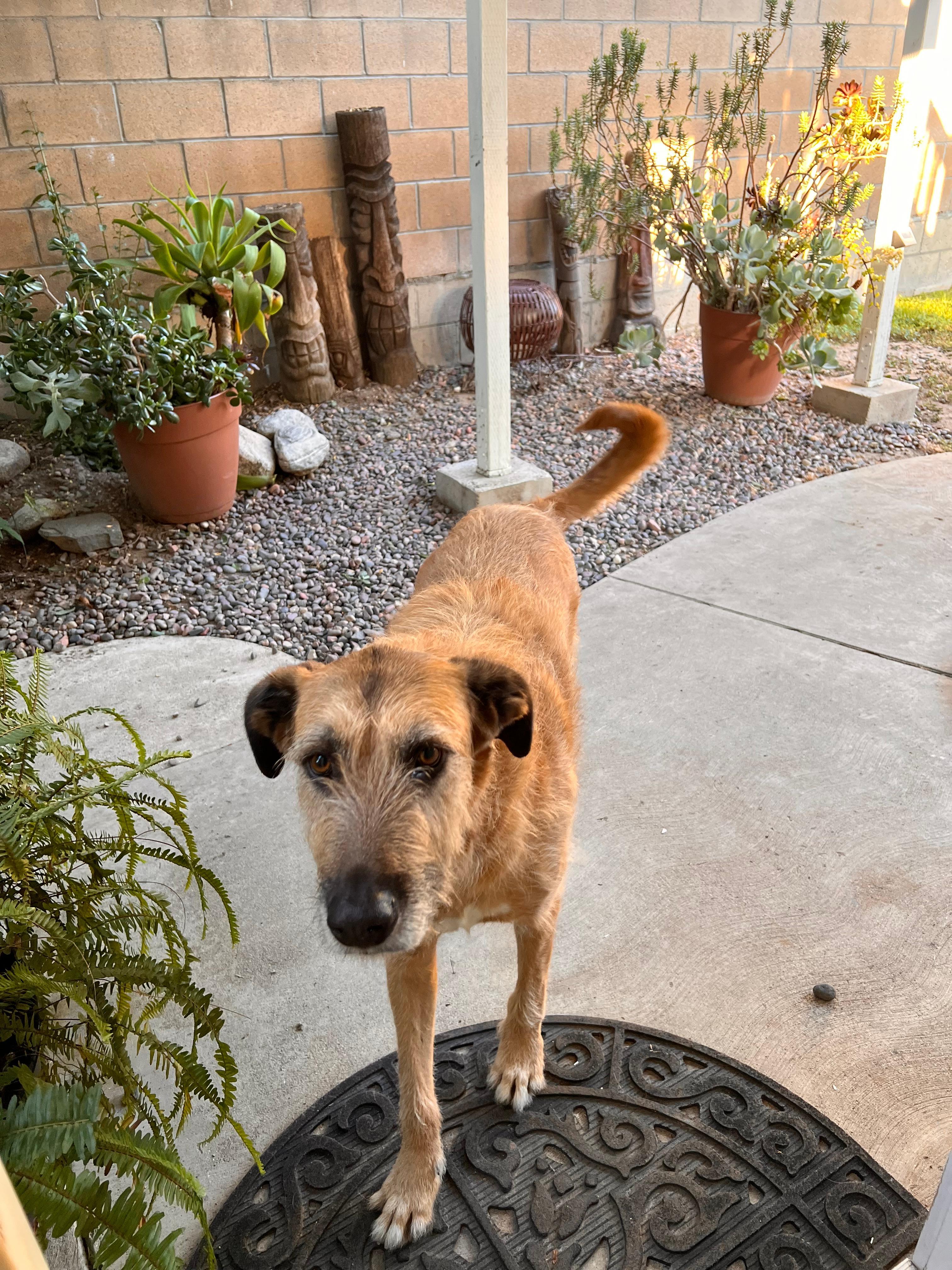 Burt