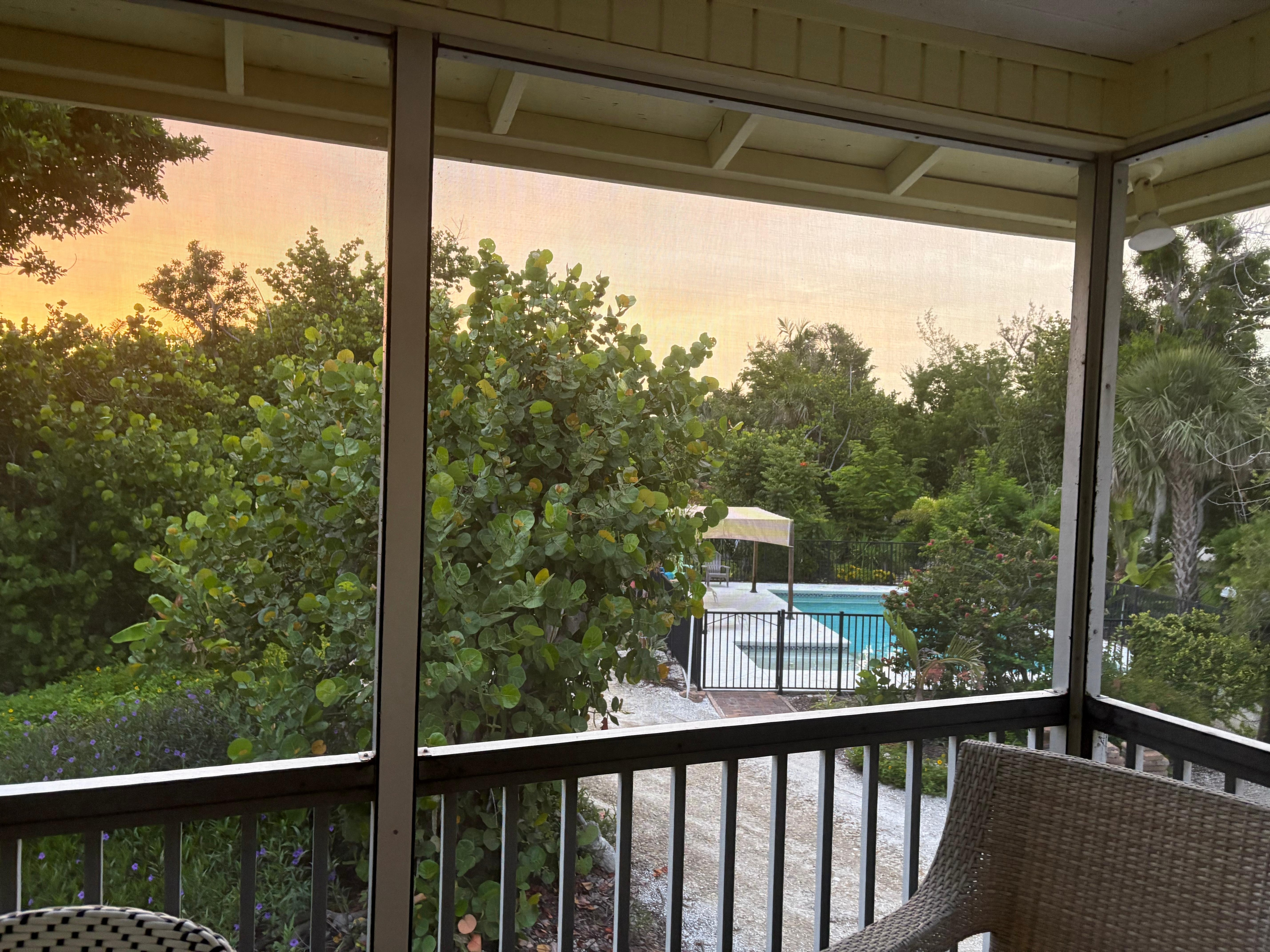 View from screened in deck. 