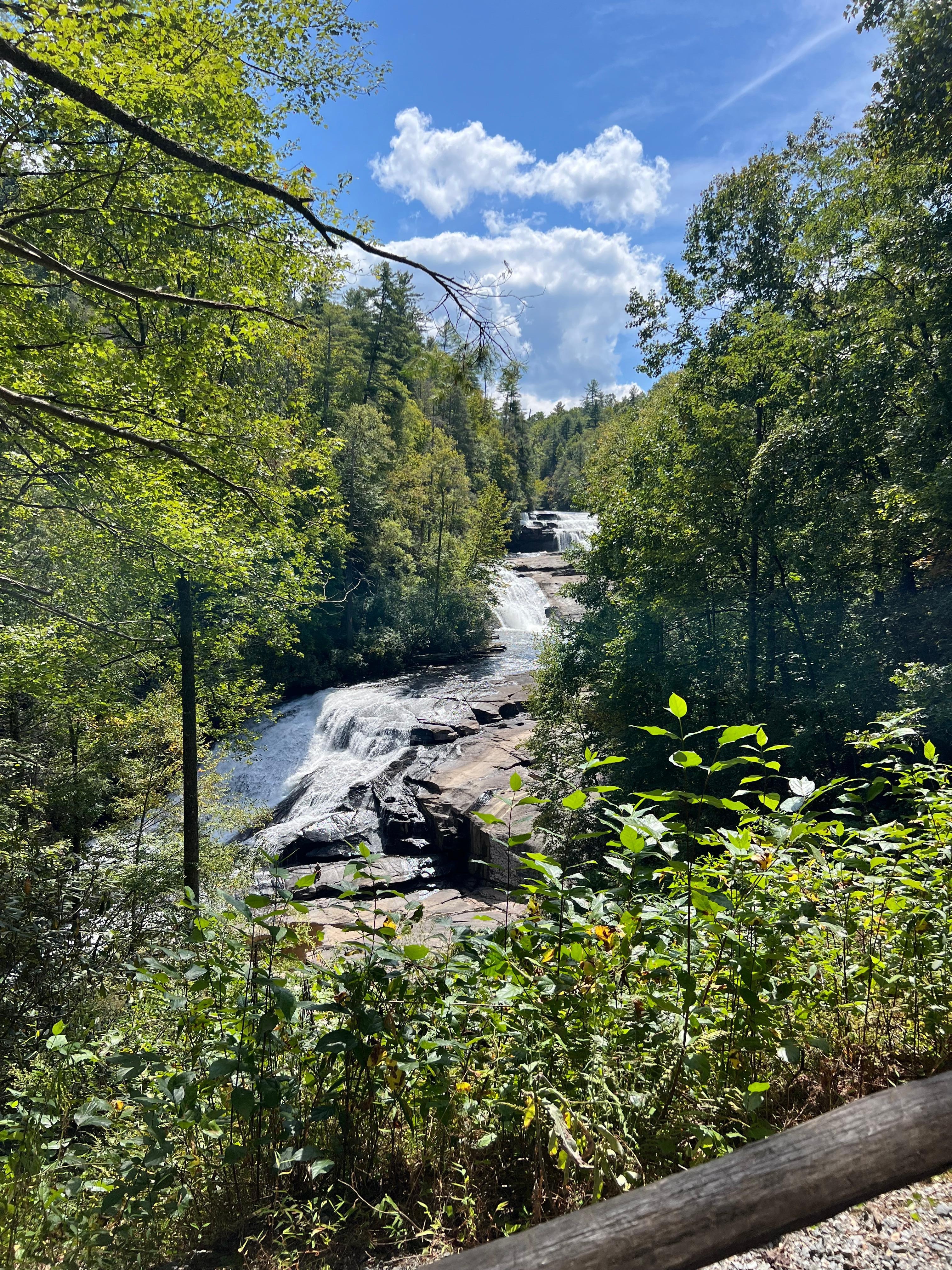 Gorgeous hikes through High falls