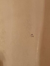Hole in tub