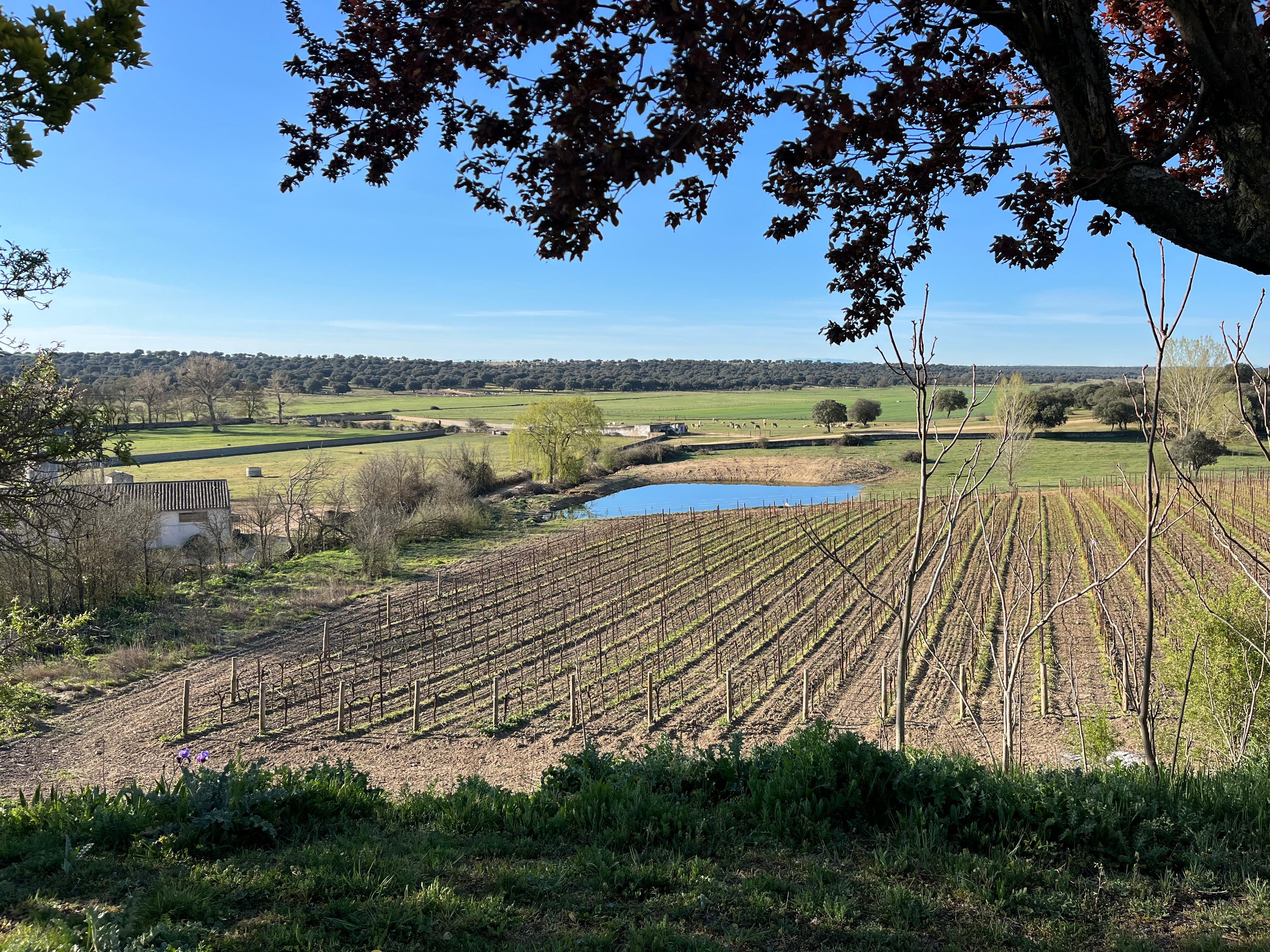 The view from the castle. 