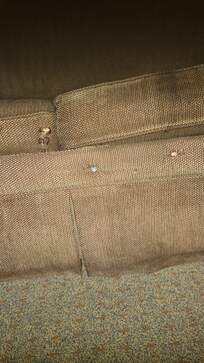 Sofa bed was nailed shut.