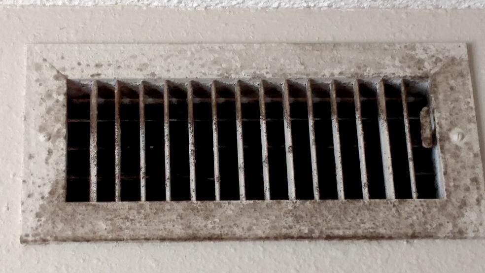 moldy vent