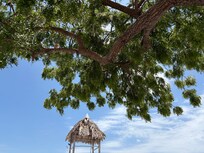 Beautiful black and gold sand beach in front of residences