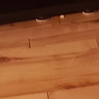 Food on the floor