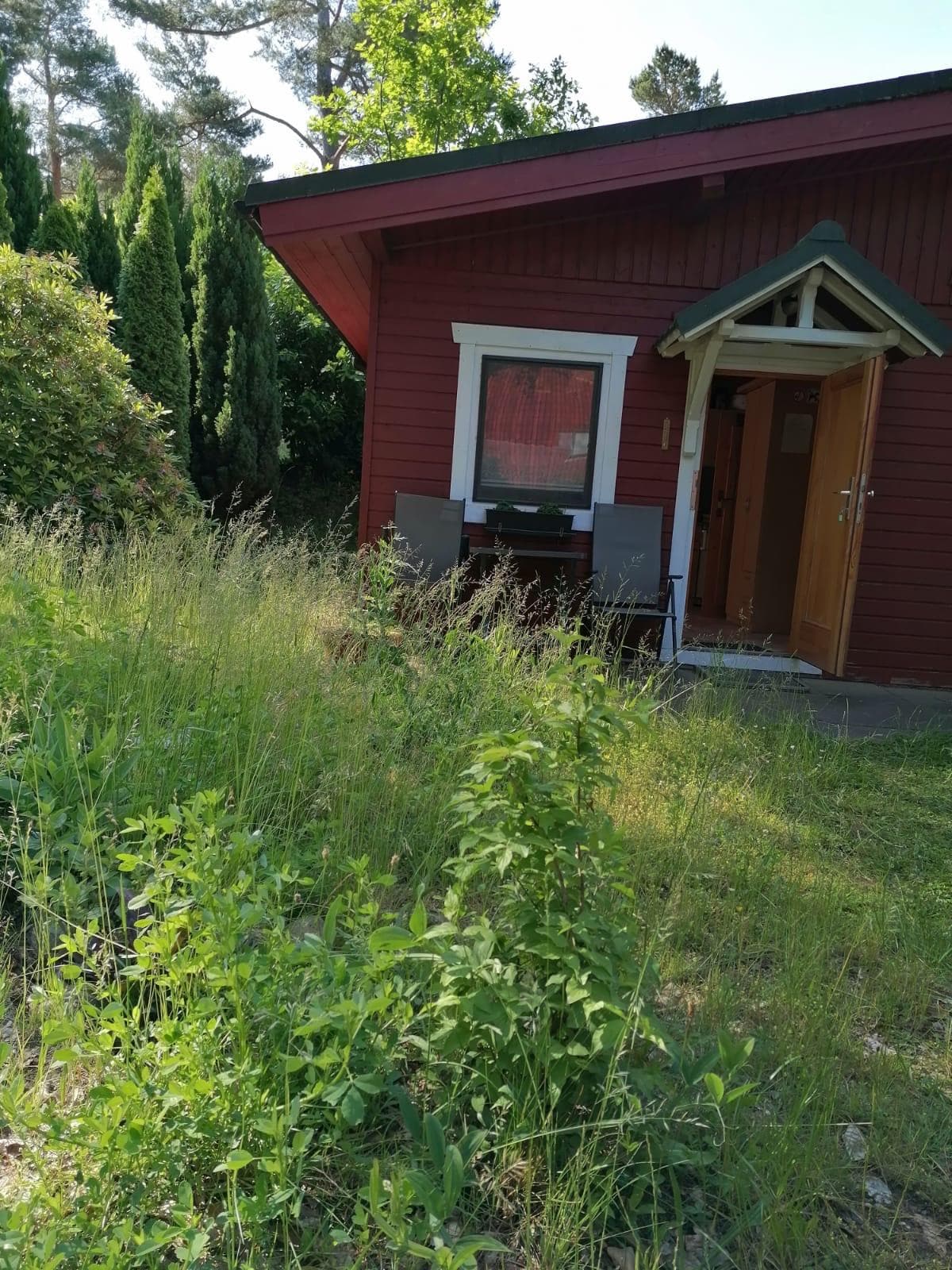 Rasen ungemäht, keine schöne Bepflanzung