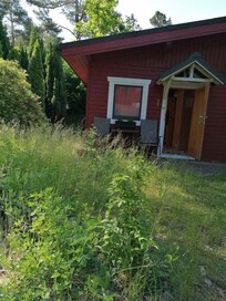 Rasen ungemÀht, keine schöne Bepflanzung