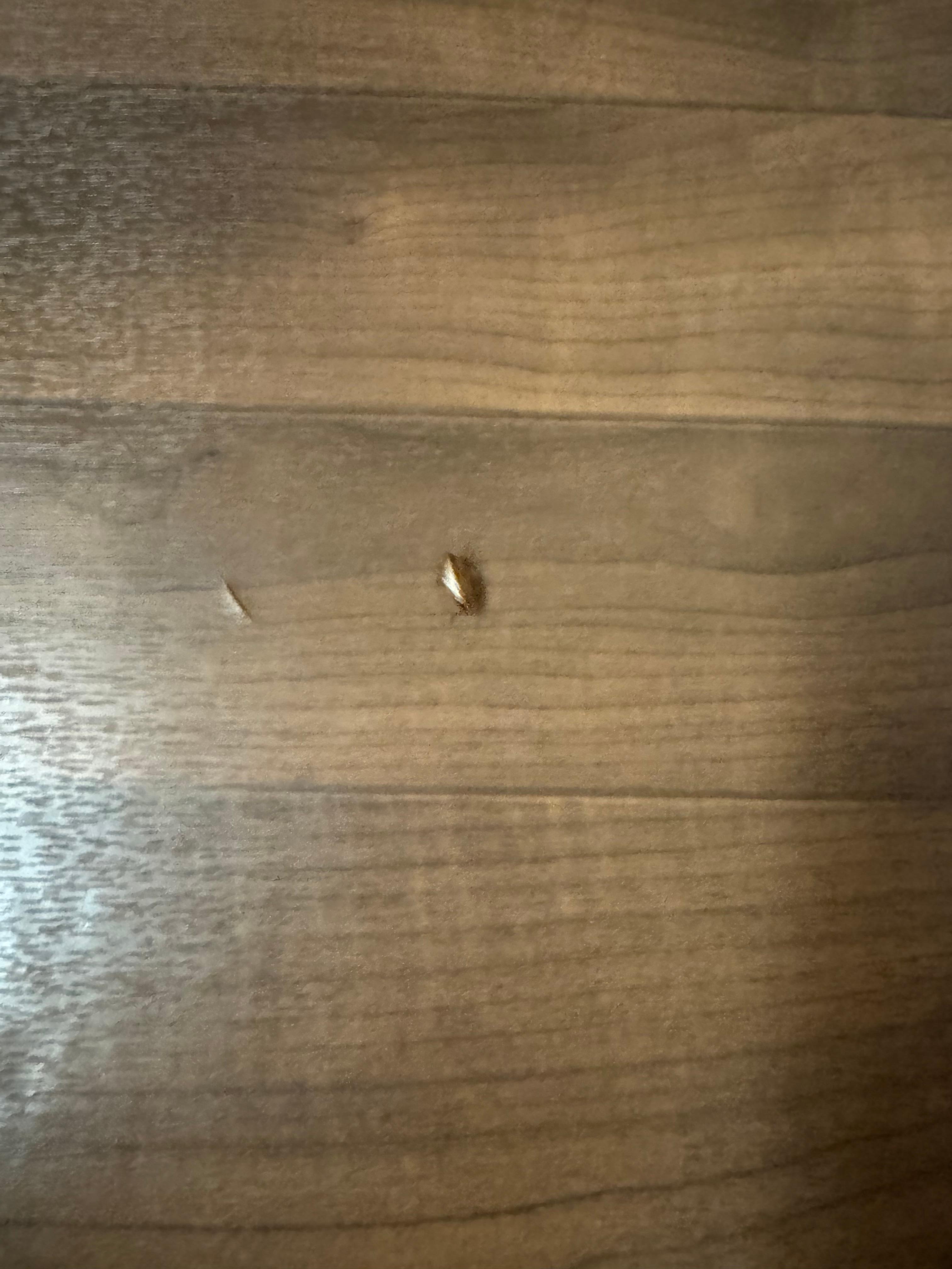 More bugs in the kitchen and bathroom 