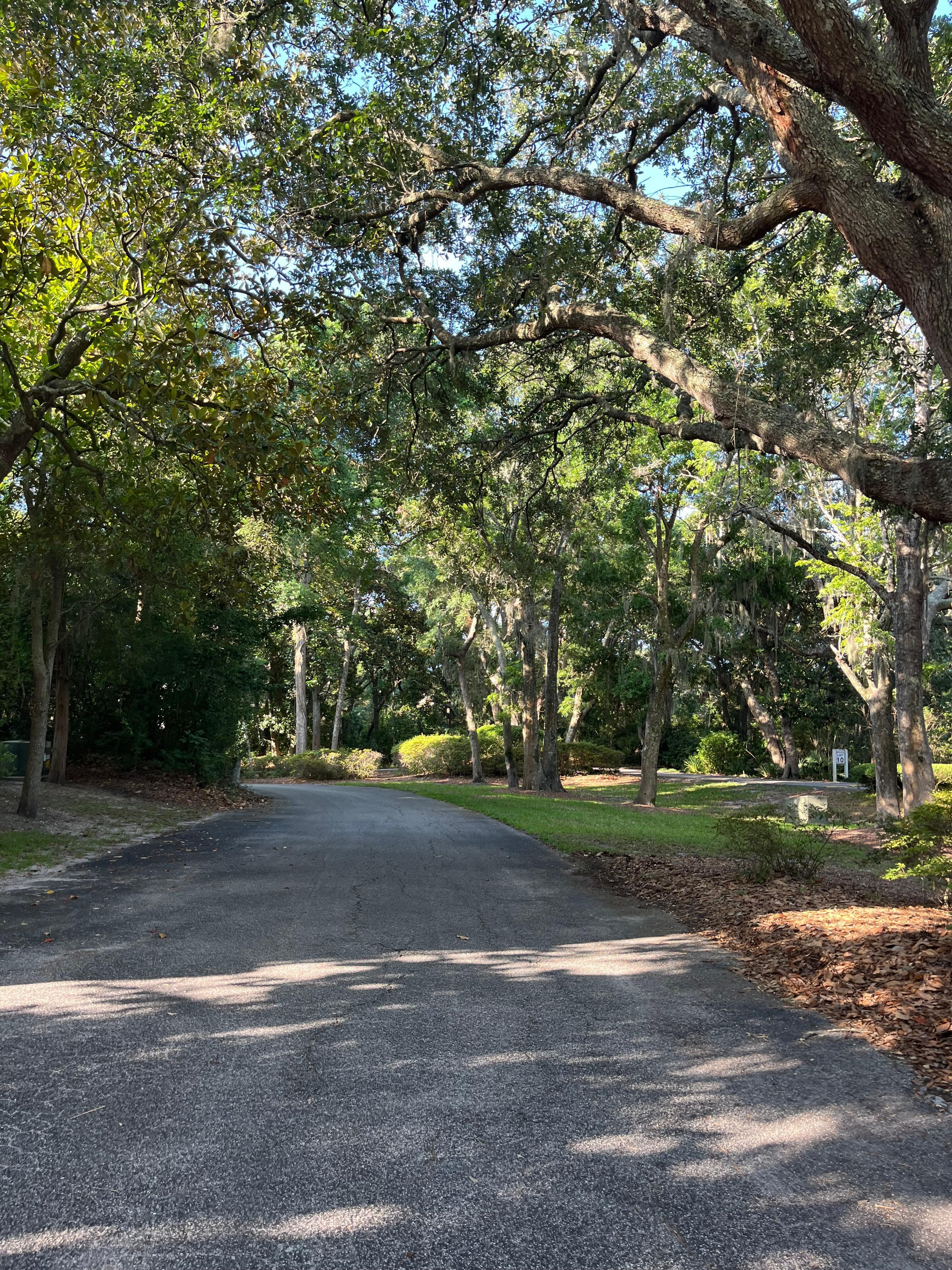 The drive onto the property