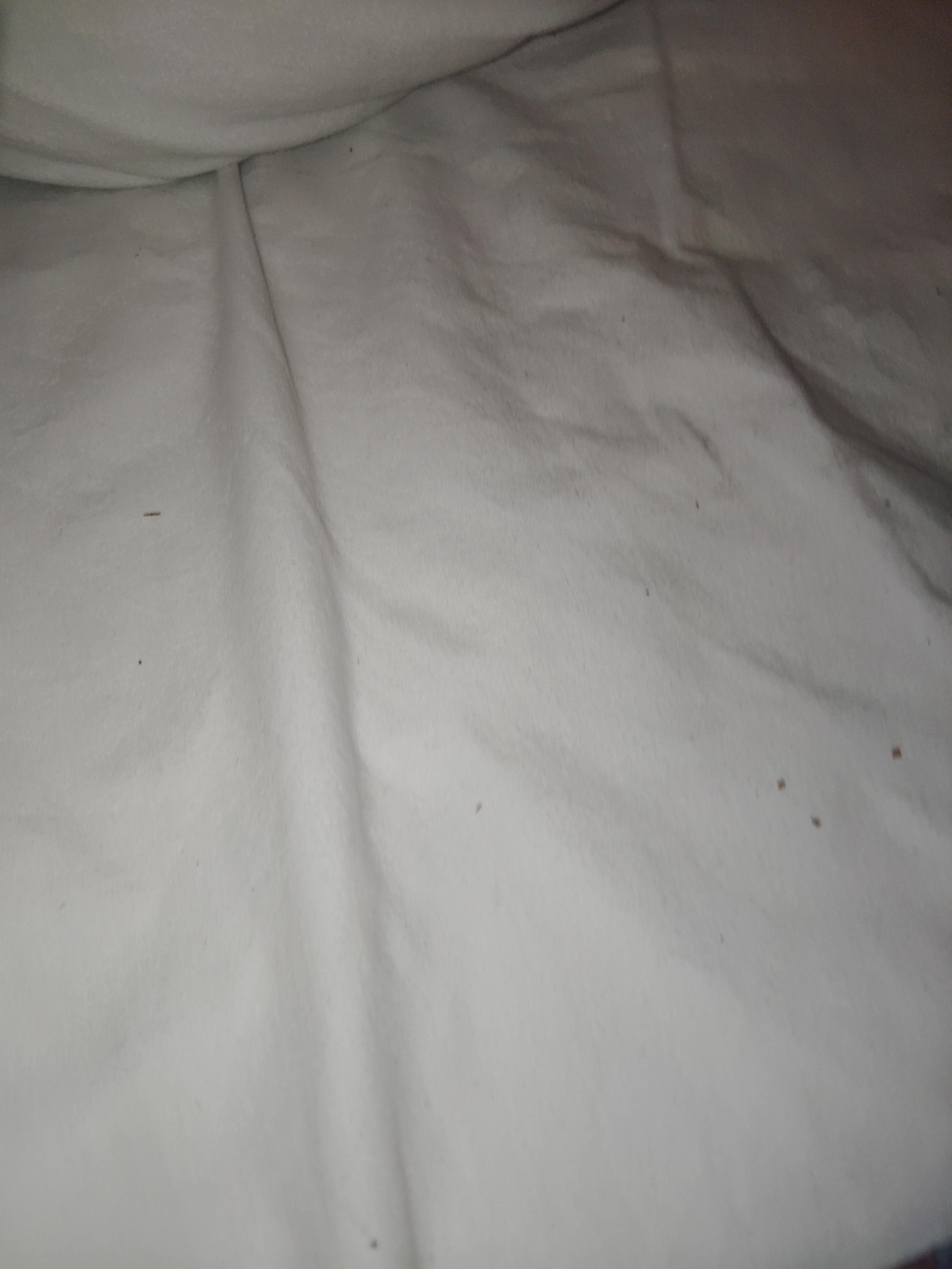 Bed bugs and roaches 