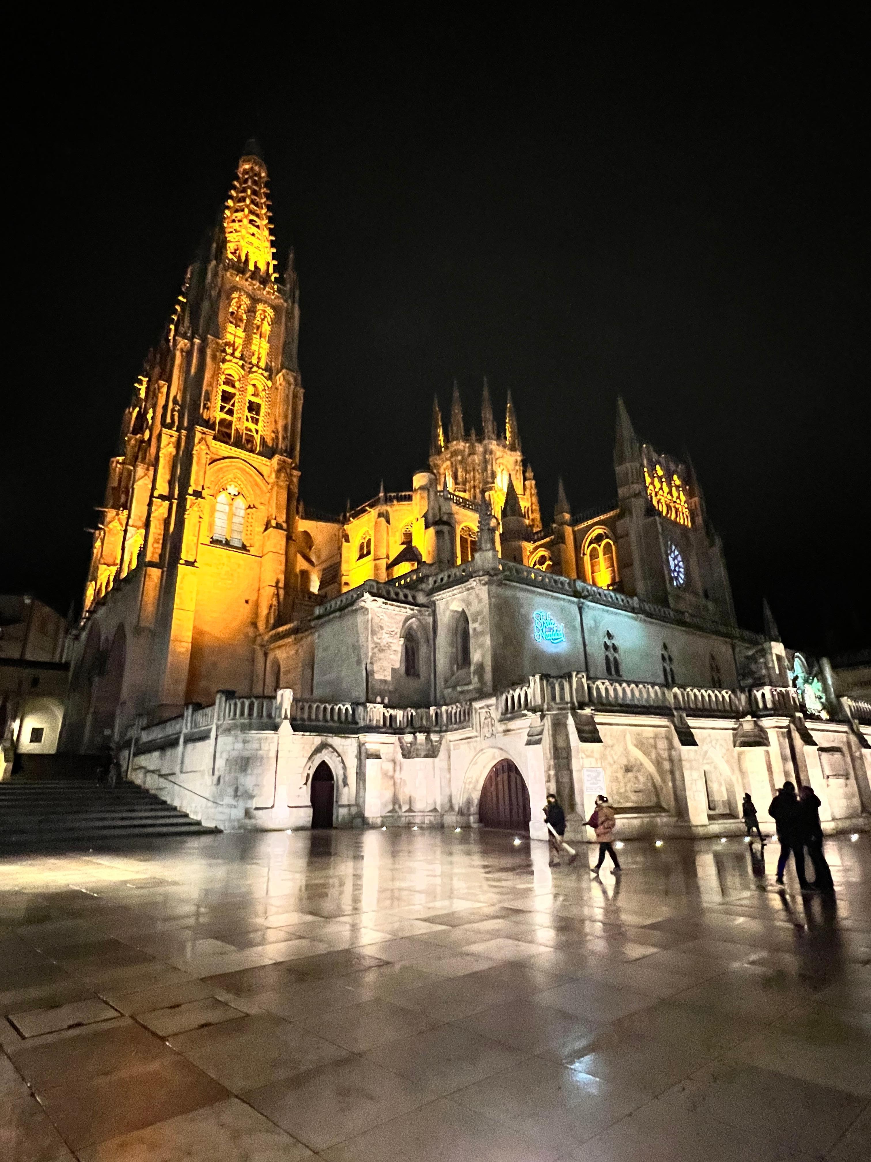 Catedral de noche