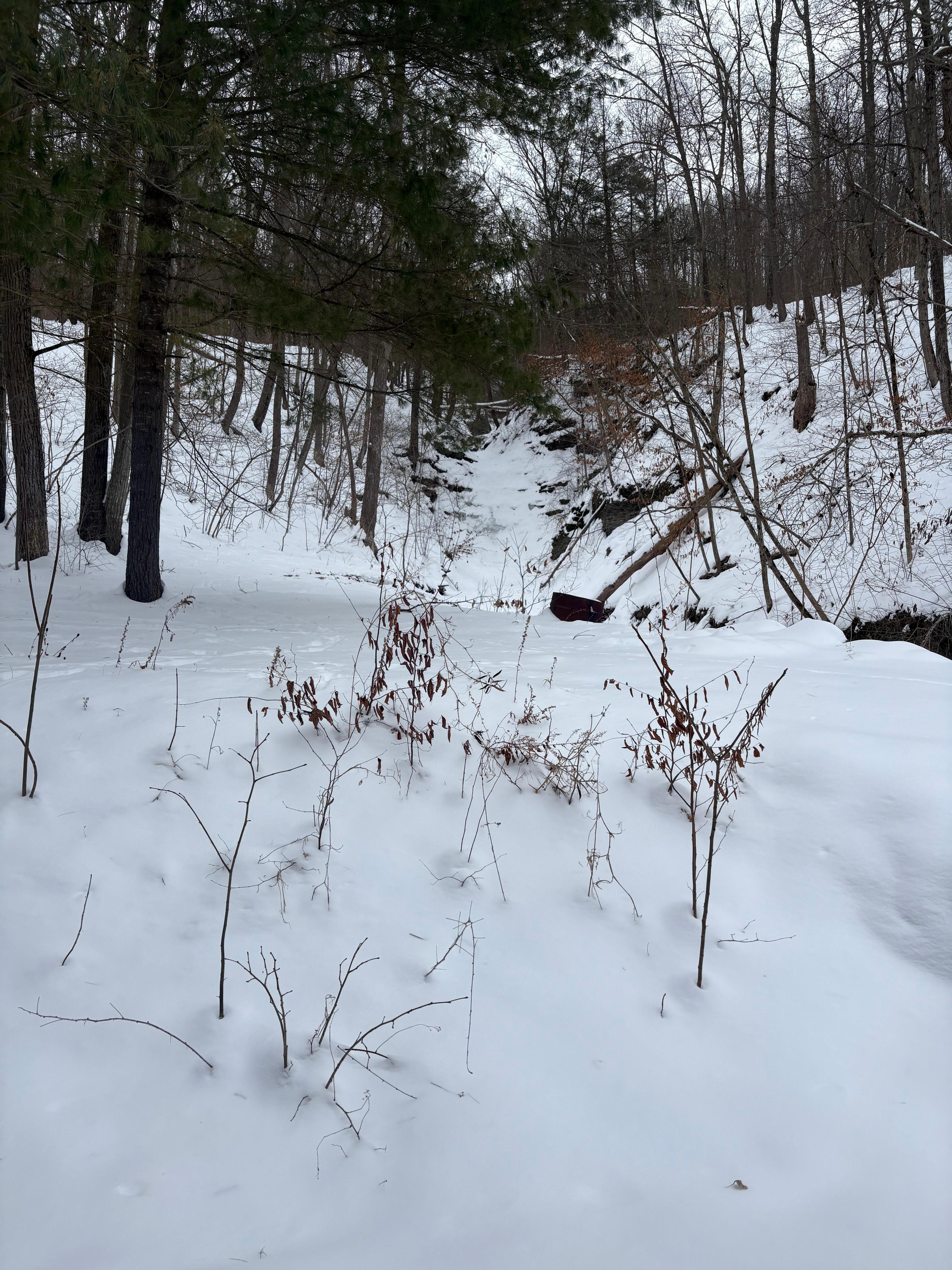 Beautiful view of the frozen waterfall 