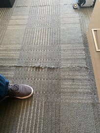 The carpet