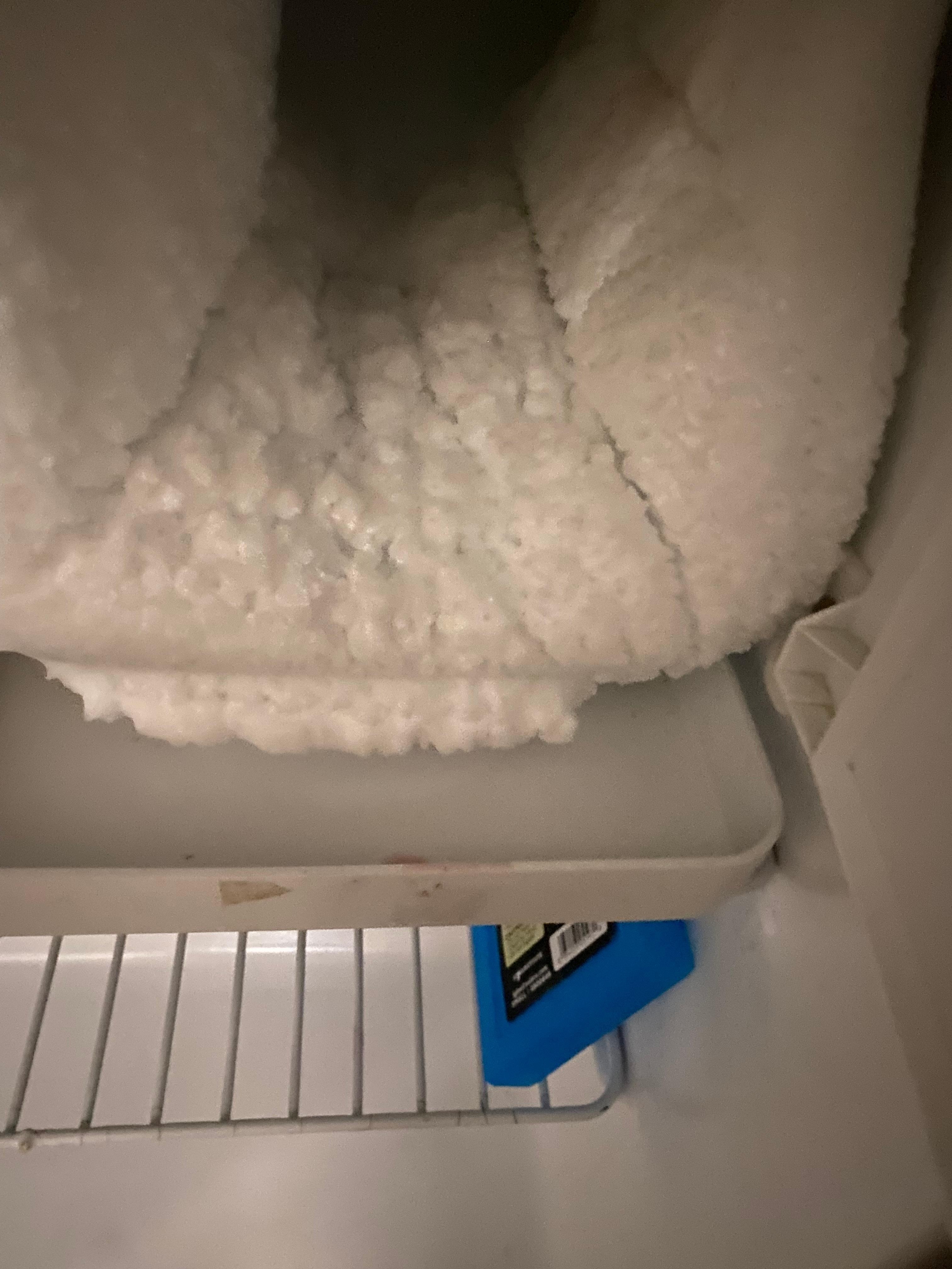 Freezer in the fridge