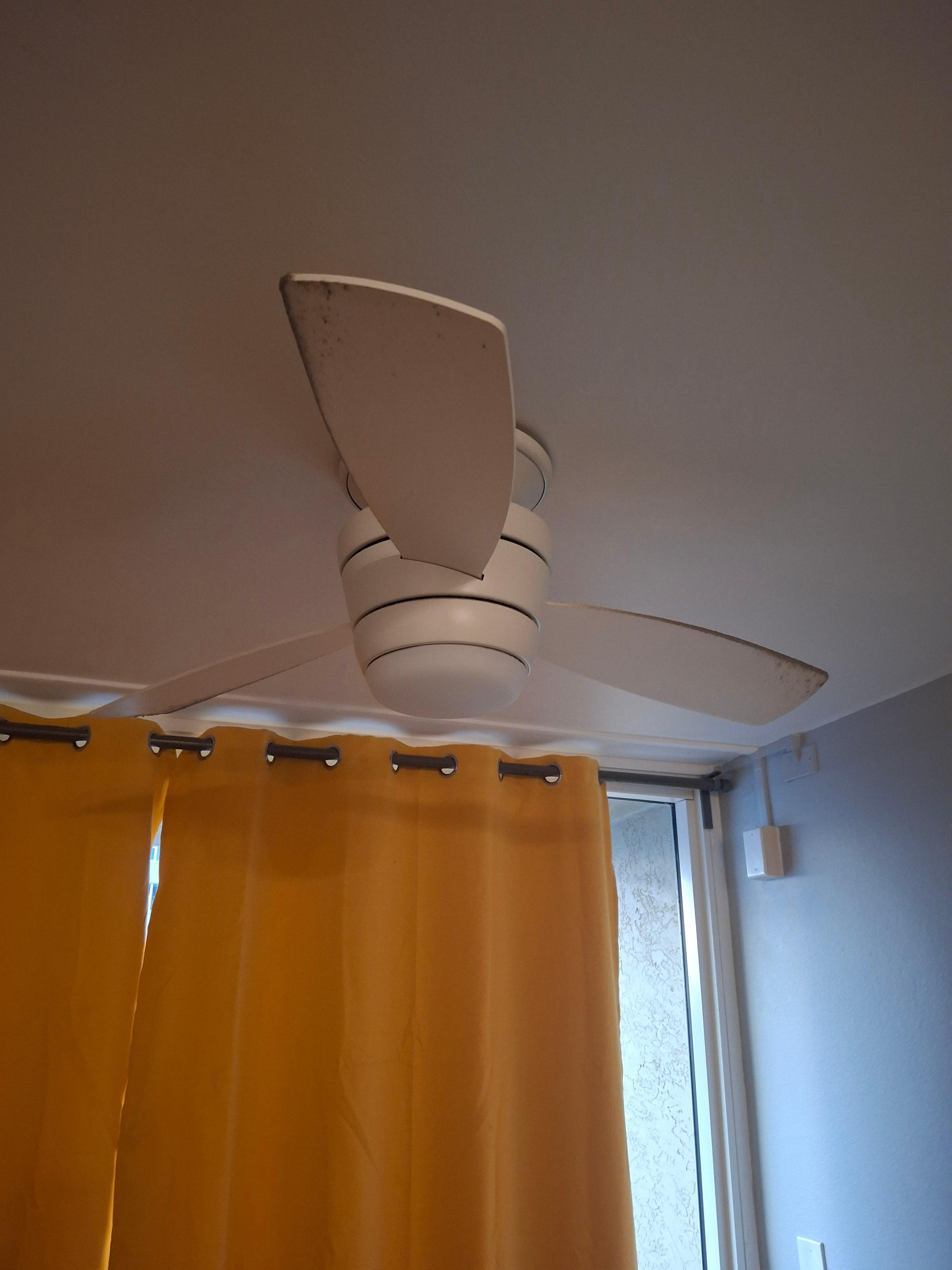 Dirt built up on fan blades