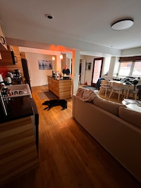 A view of the kitchen and living space after we settled in.