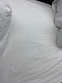 Dirty stained sheets. Looked like black boot footprints