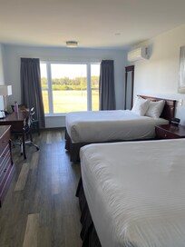 Lovely room with closet, desk and good lighting and outlets
