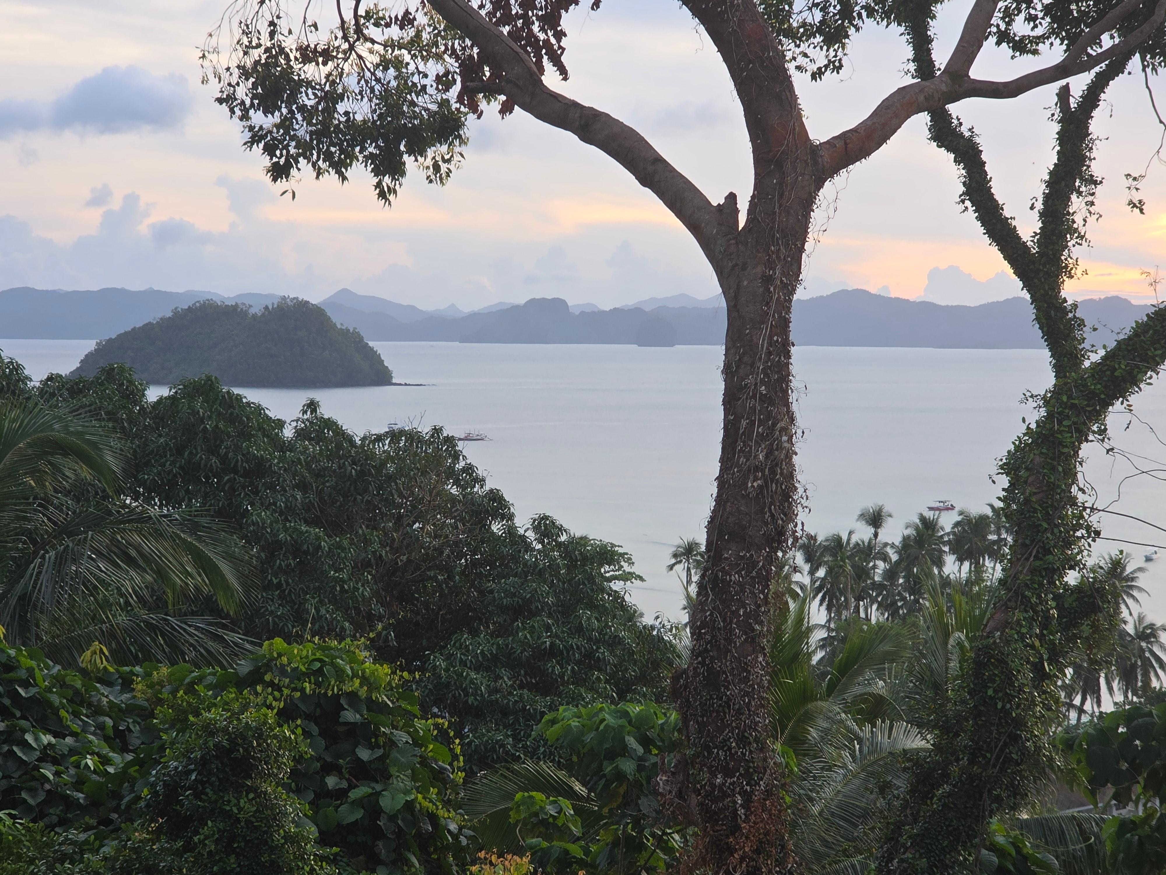 View from restaurant/bar.