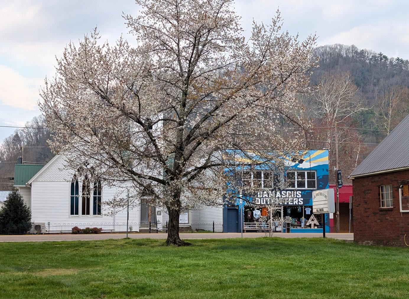 Cardinal Music Hall and Damascus Outfitters 