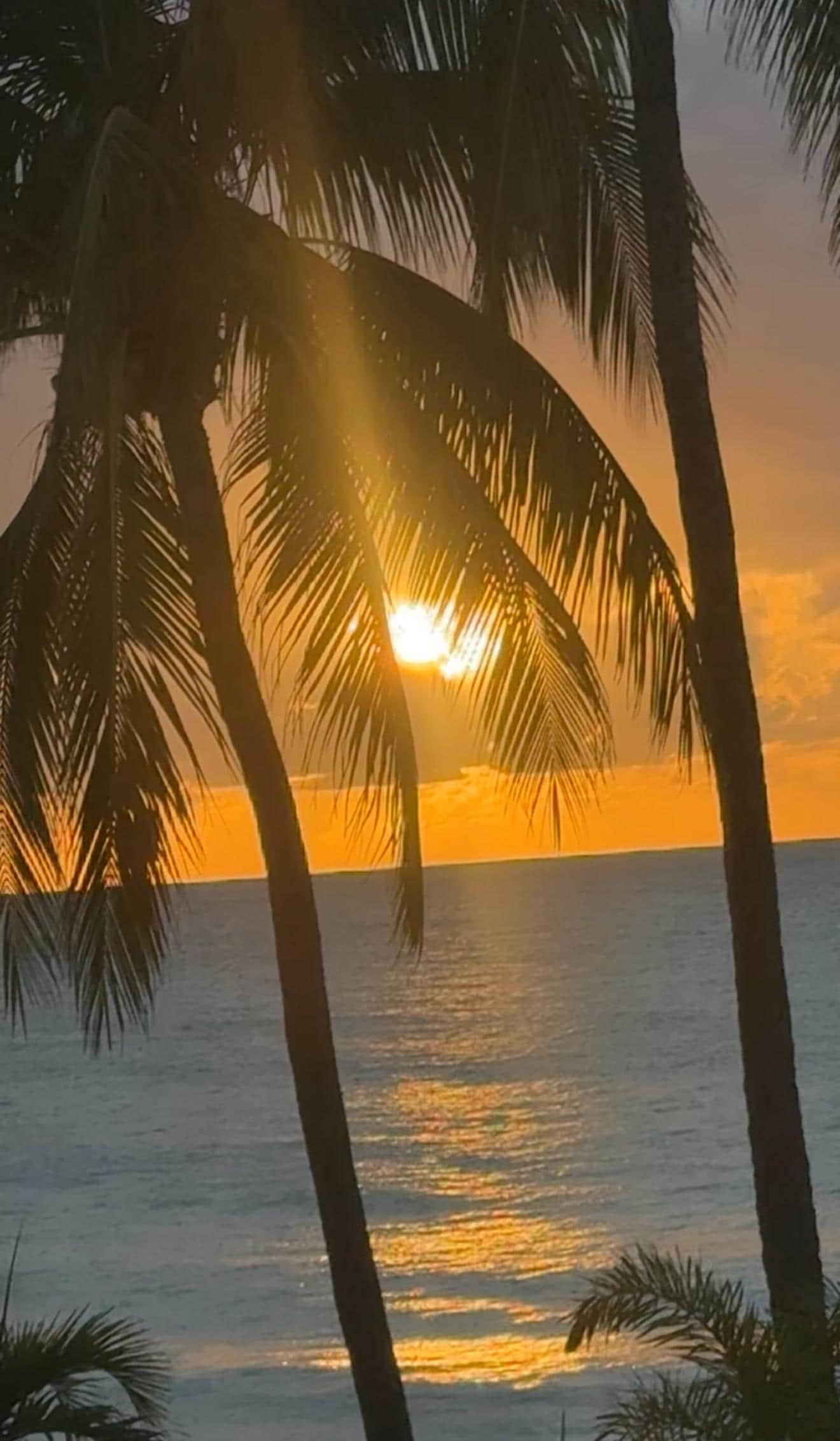 Most beautiful sunset!