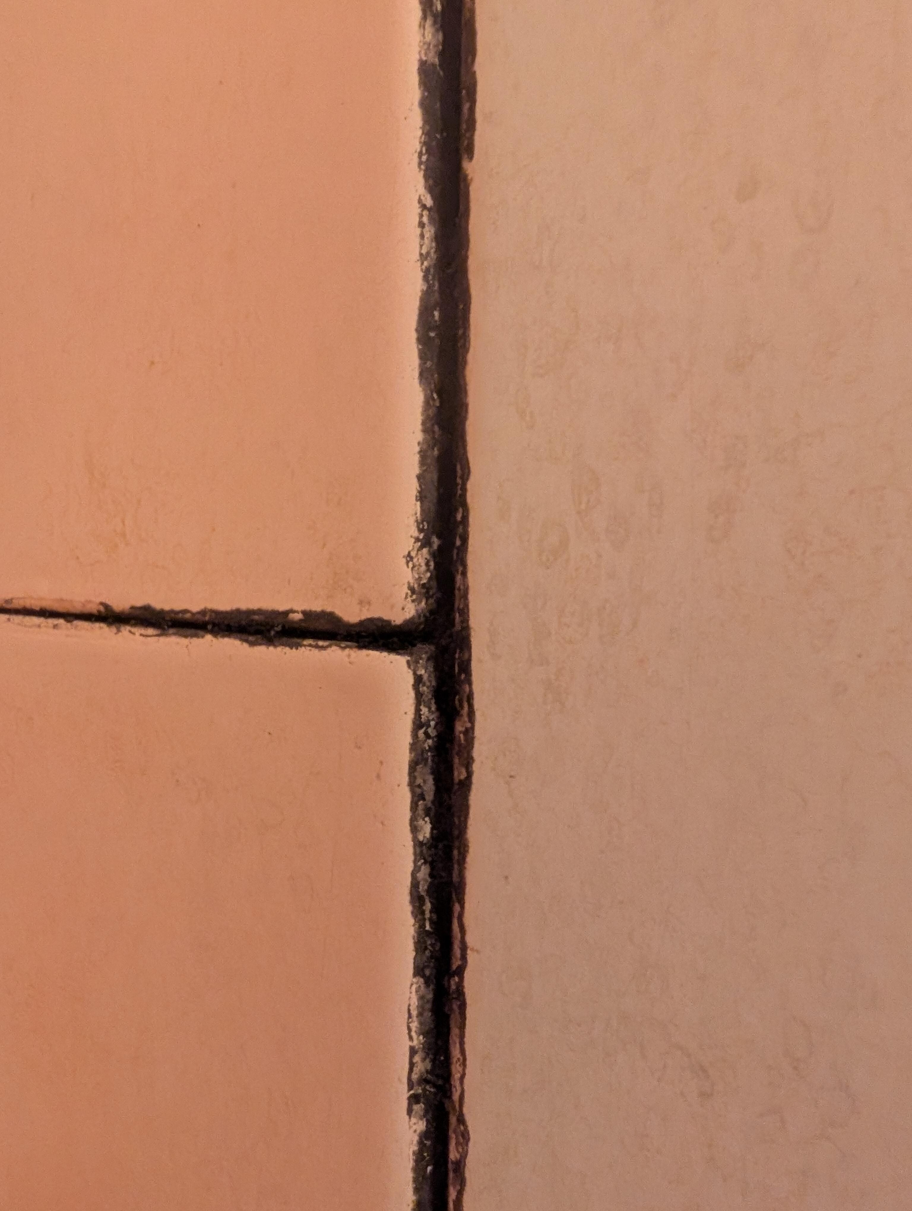 Mold in the shower 