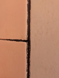 Mold in the shower
