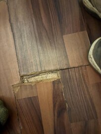 Tattered floor boards throughout room
