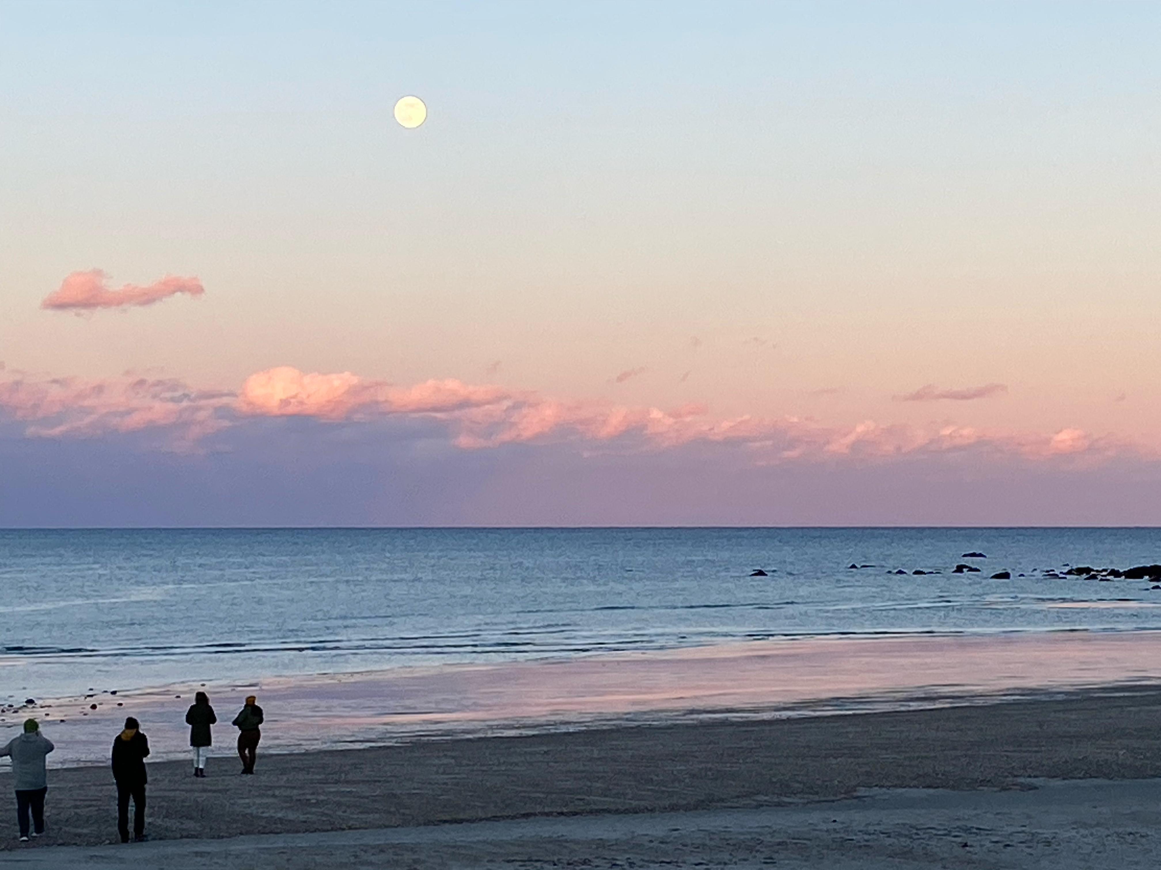 Beach is just across the street! 