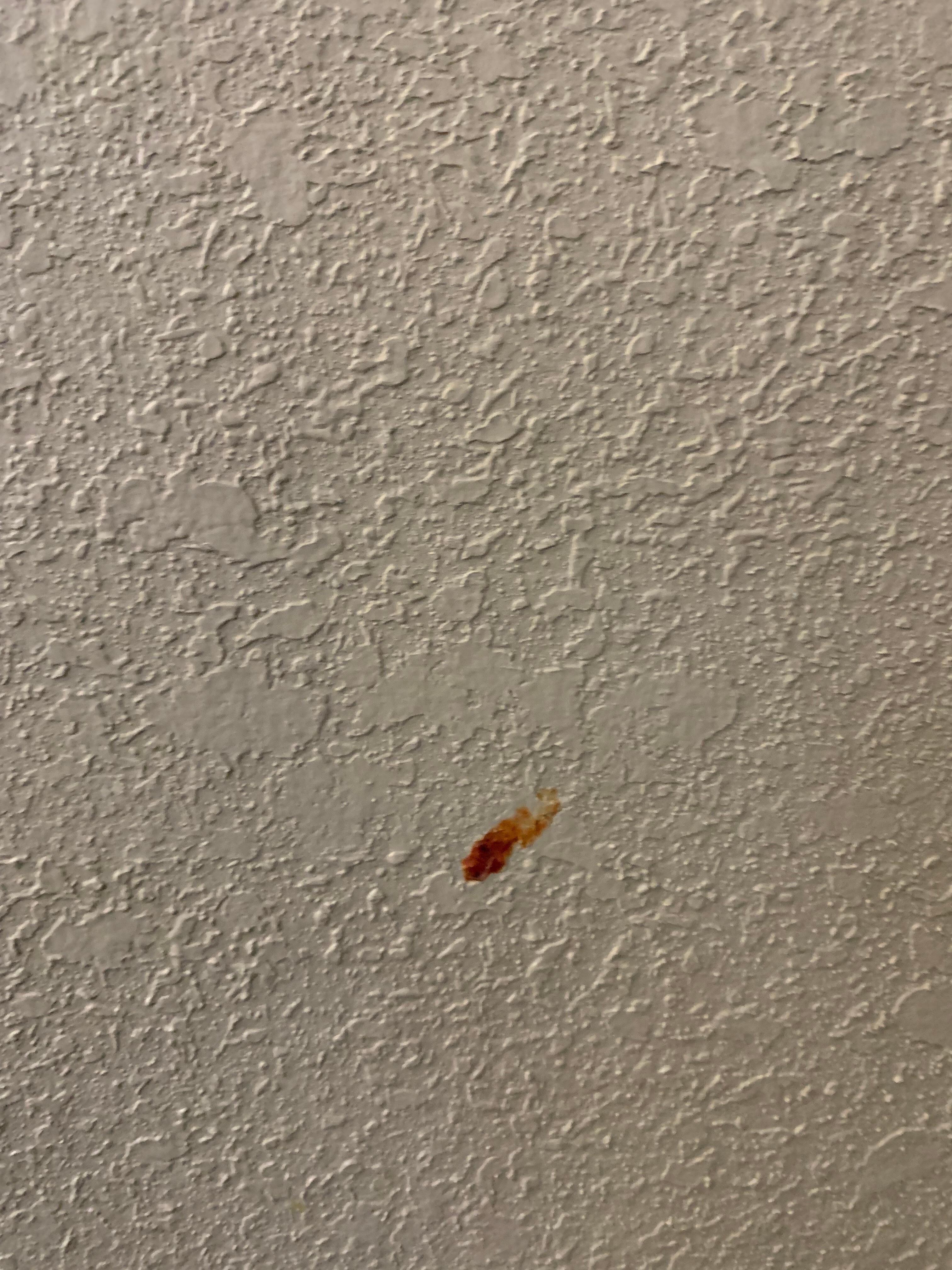 Blood?