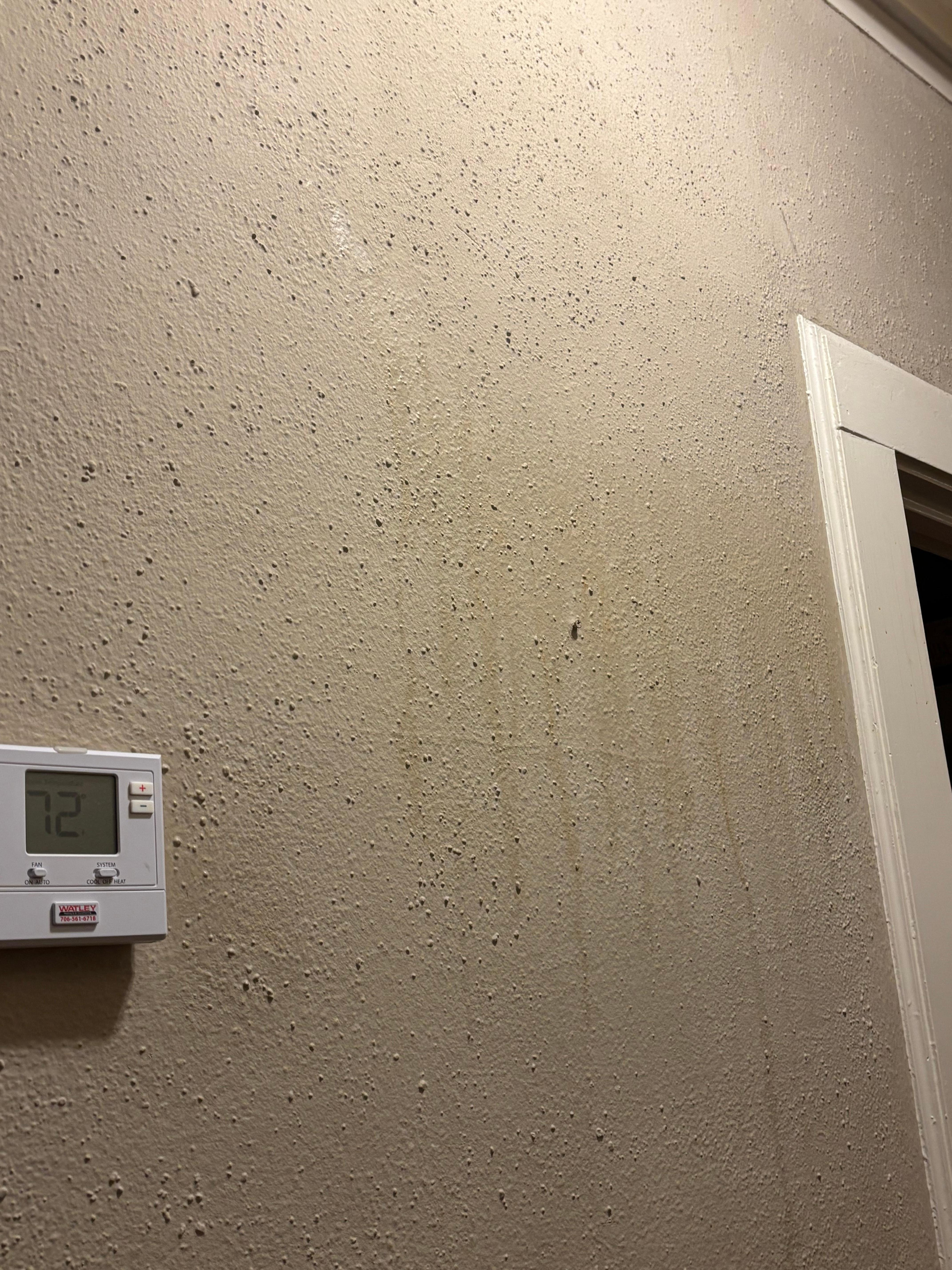 Grease or dried moisture dripping on hallway walls. It looks disgusting.