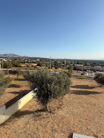 La mañana desde mi habitación