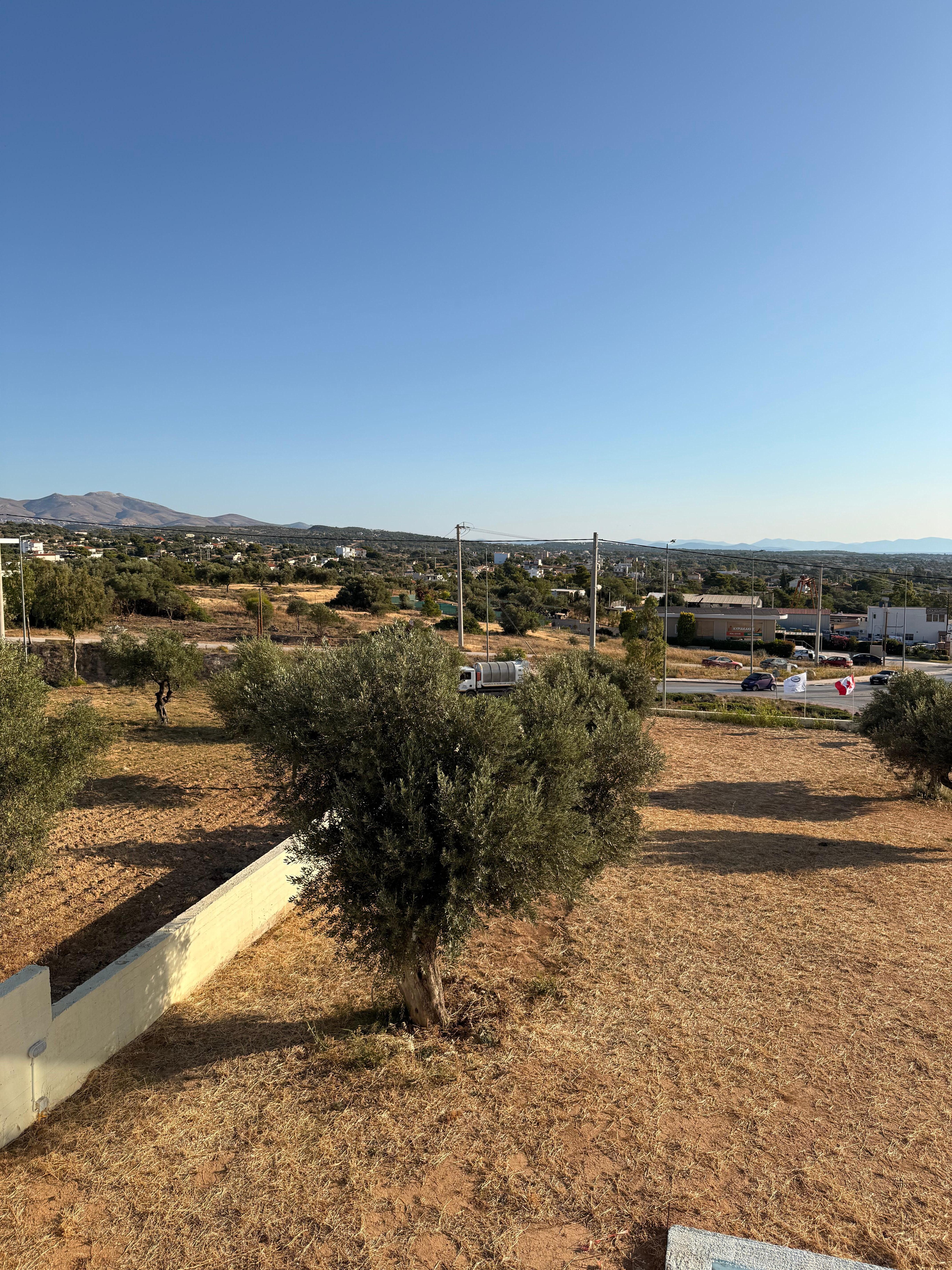 La mañana desde mi habitación