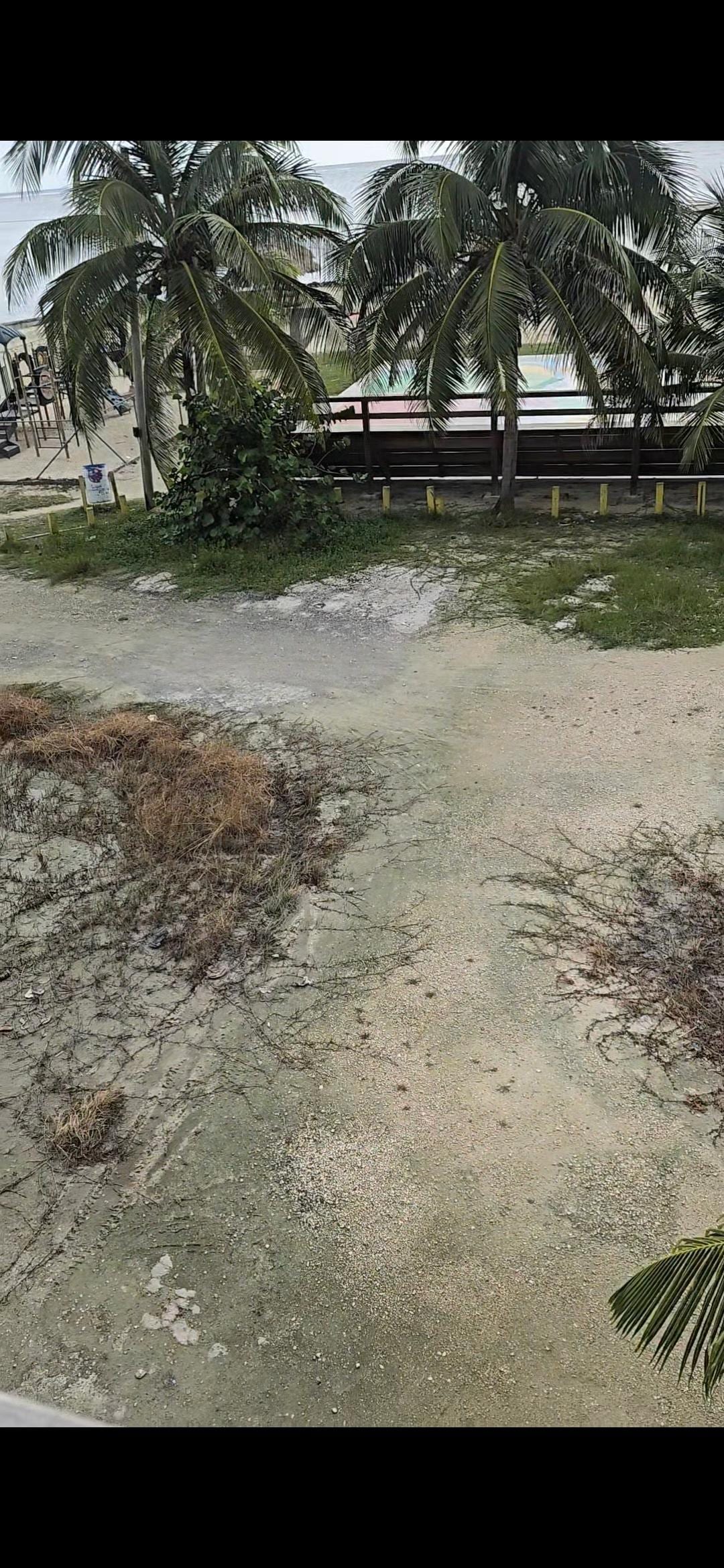 Part of the view from the balcony 