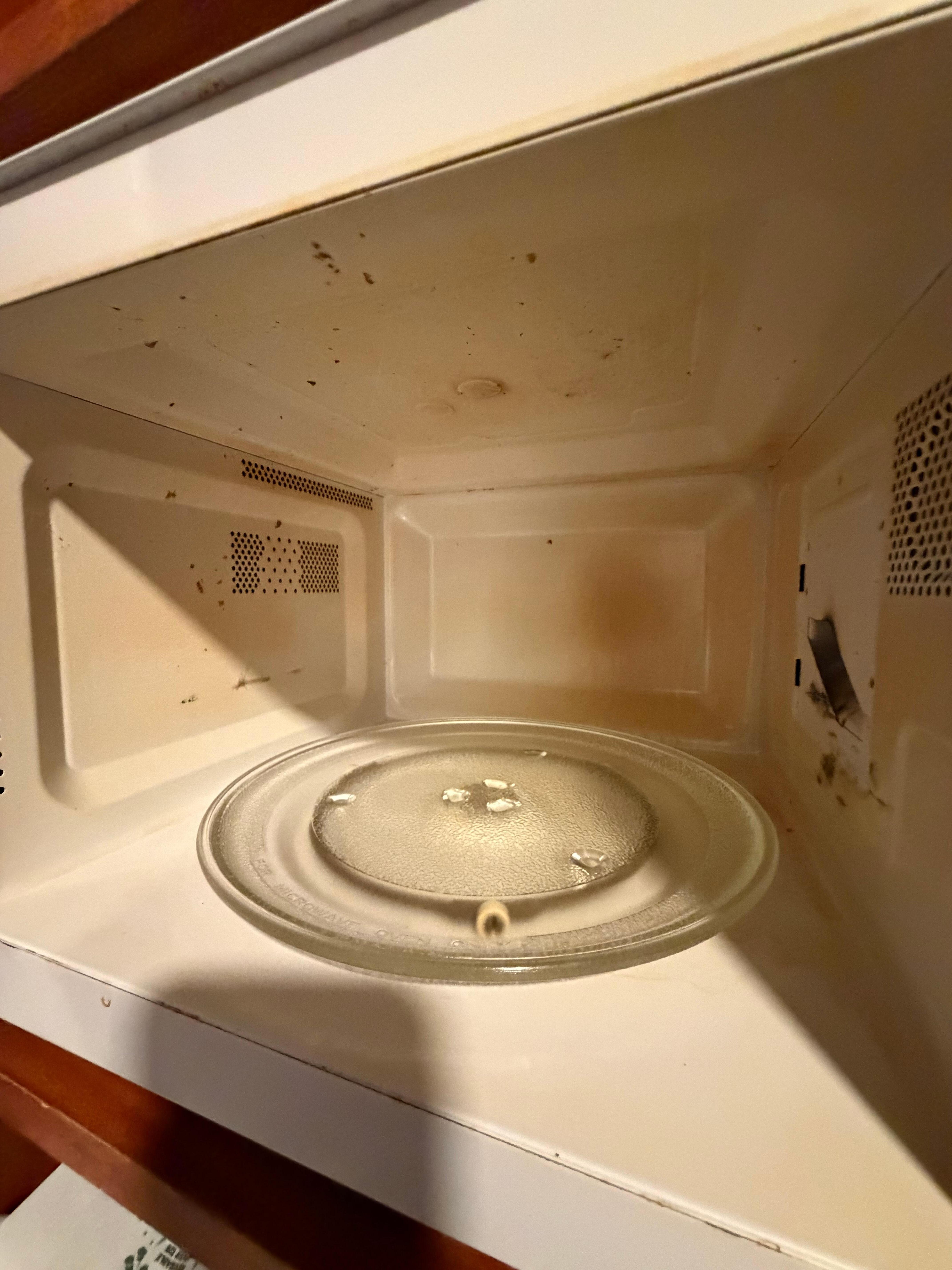 Inside of microwave