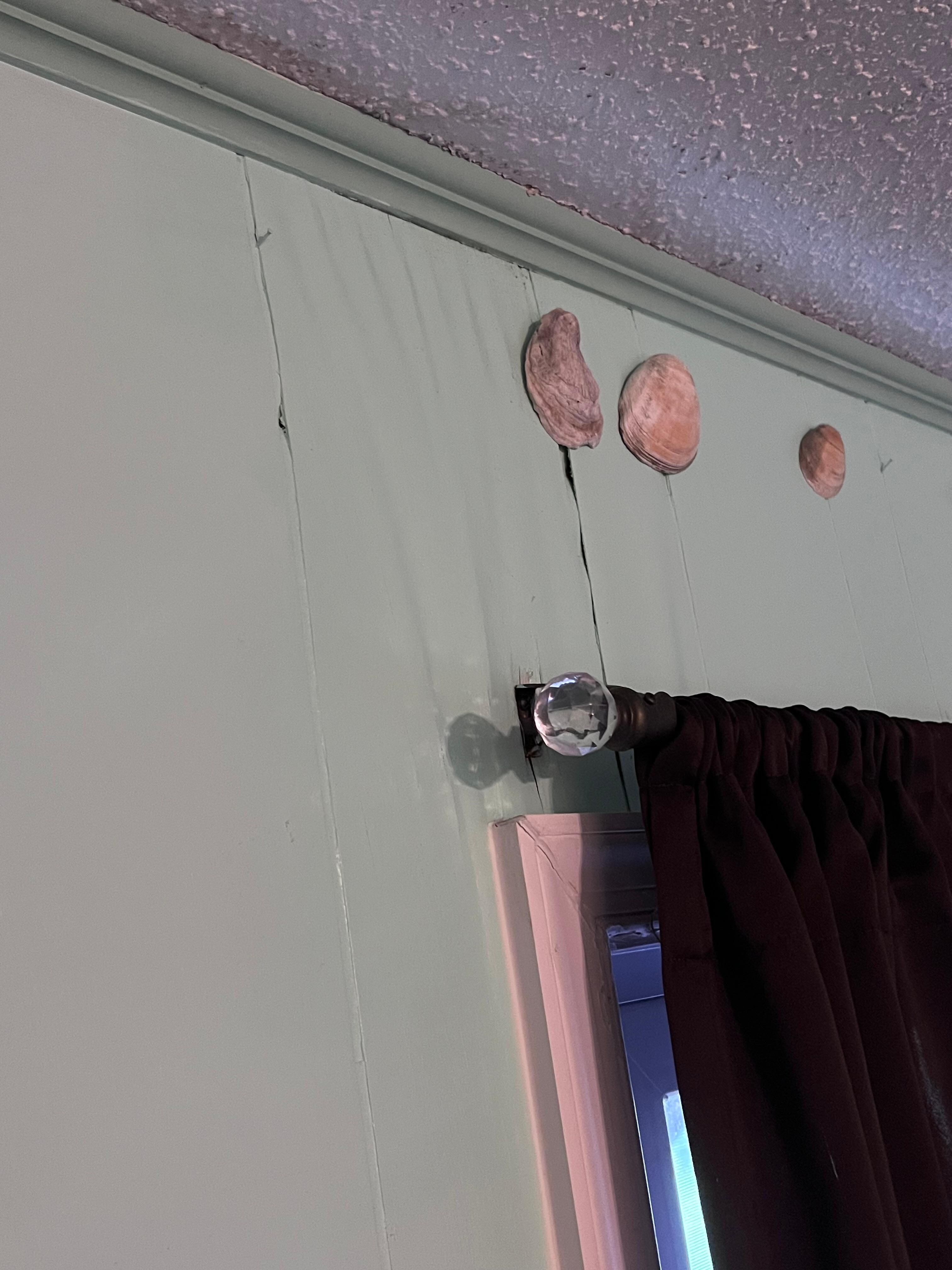 Water damage