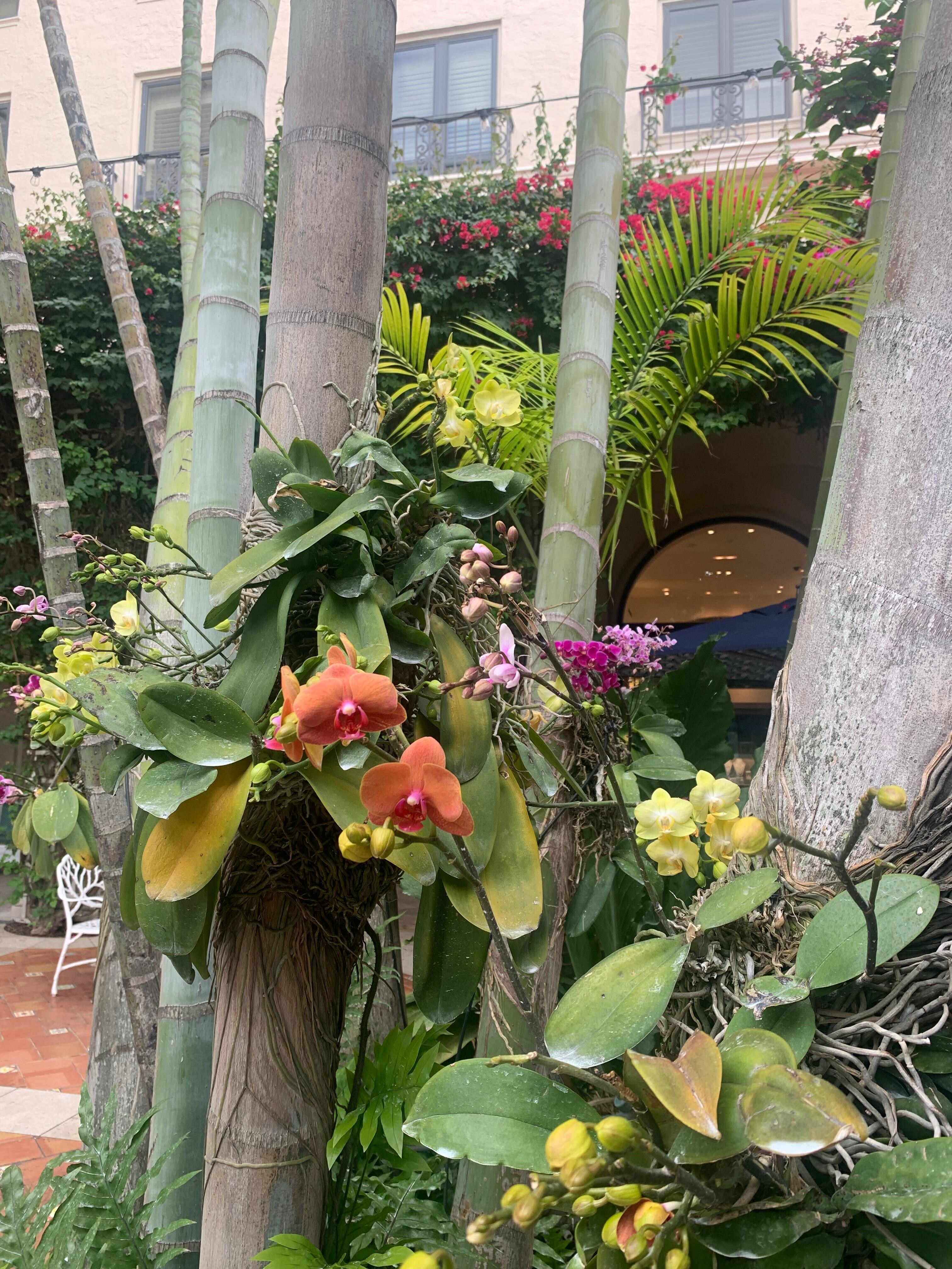 Local floral and fauna