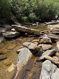 A little fly fishing fun!