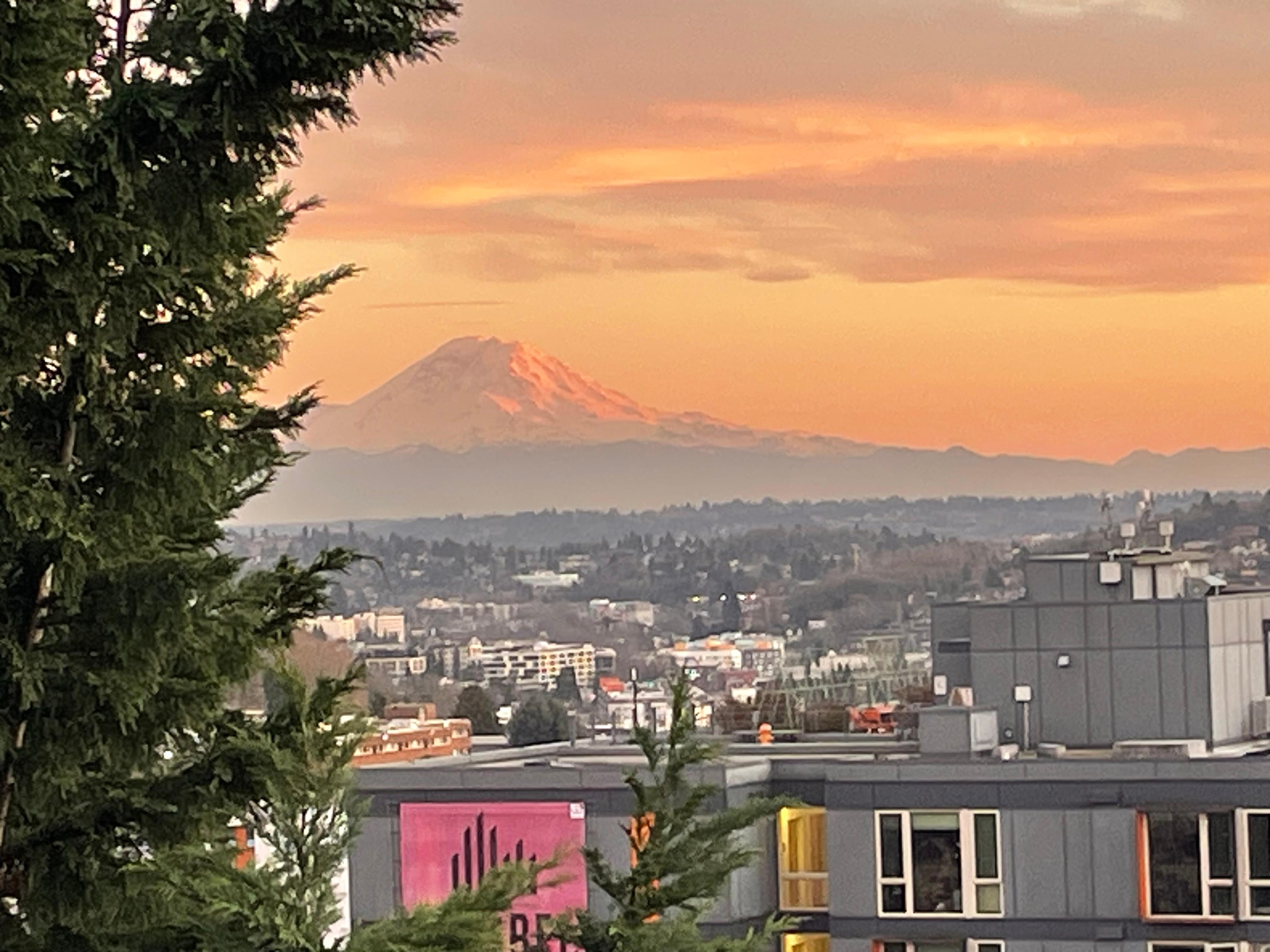 Mt Ranier from the second bedroom window.