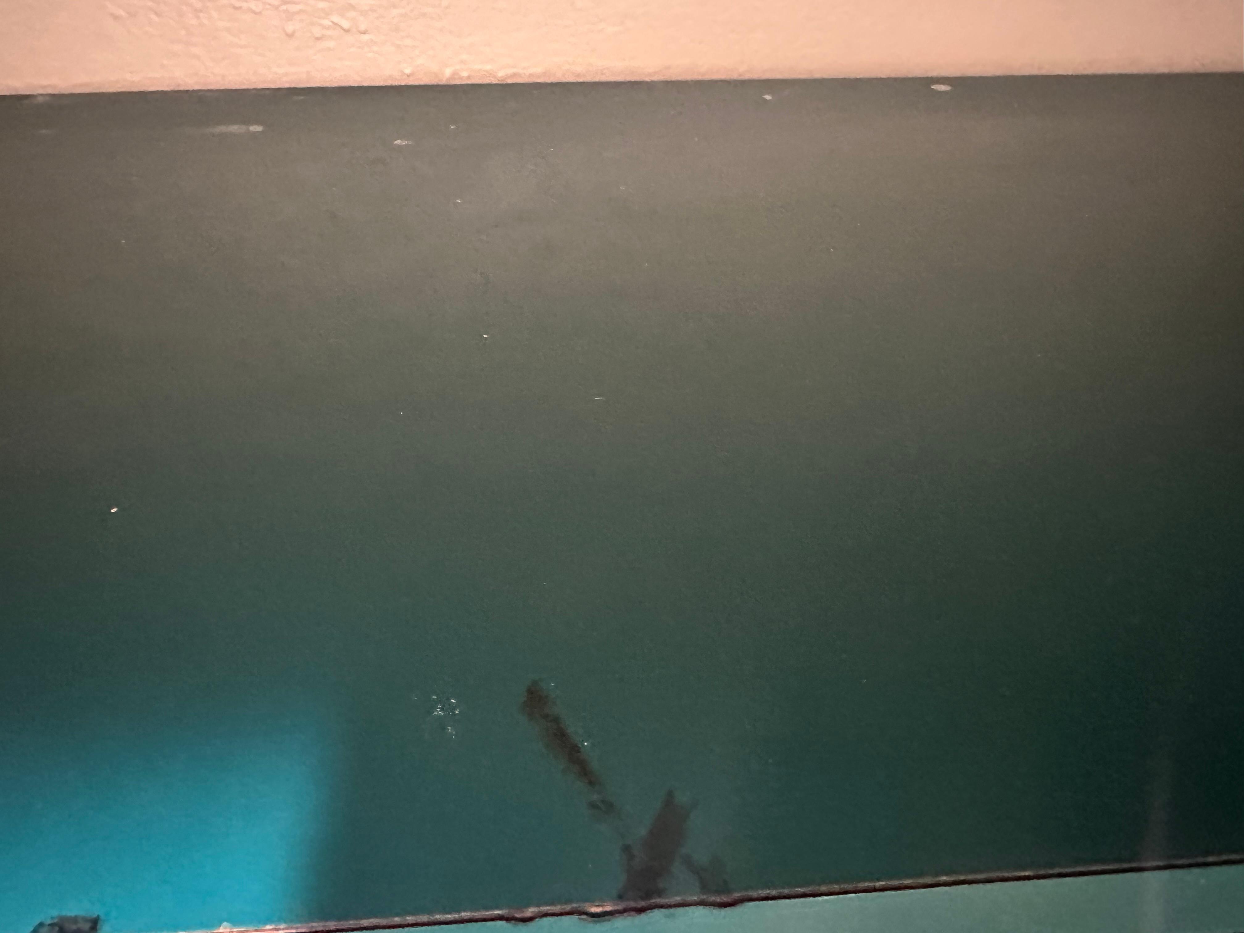 Dust/mildew on closet shelf