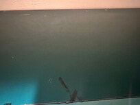 Dust/mildew on closet shelf