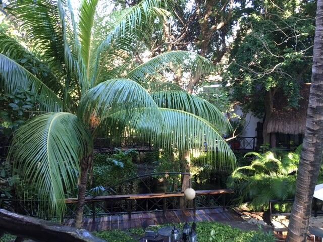 View from our veranad