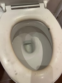 Mold growing on toilet seat.