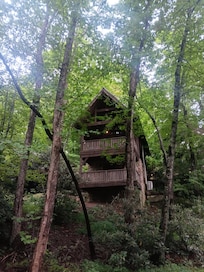 View from the creek