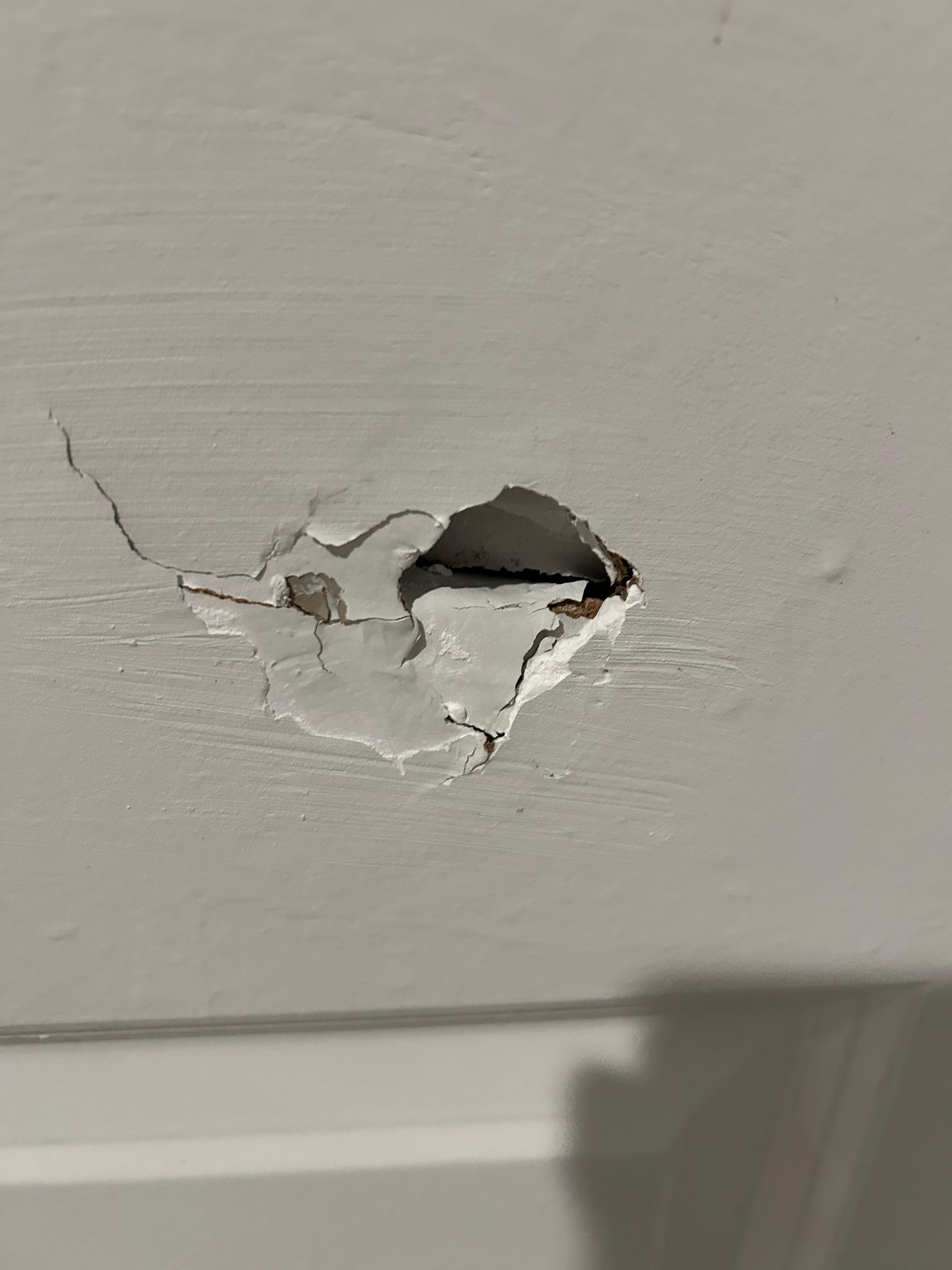 Hole in coat closet door in entry 