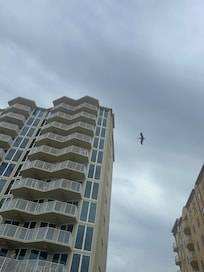 Love the pelicans flying by the balconies (corner unit 10th floor)