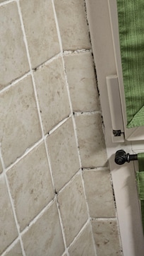 Mold on tile