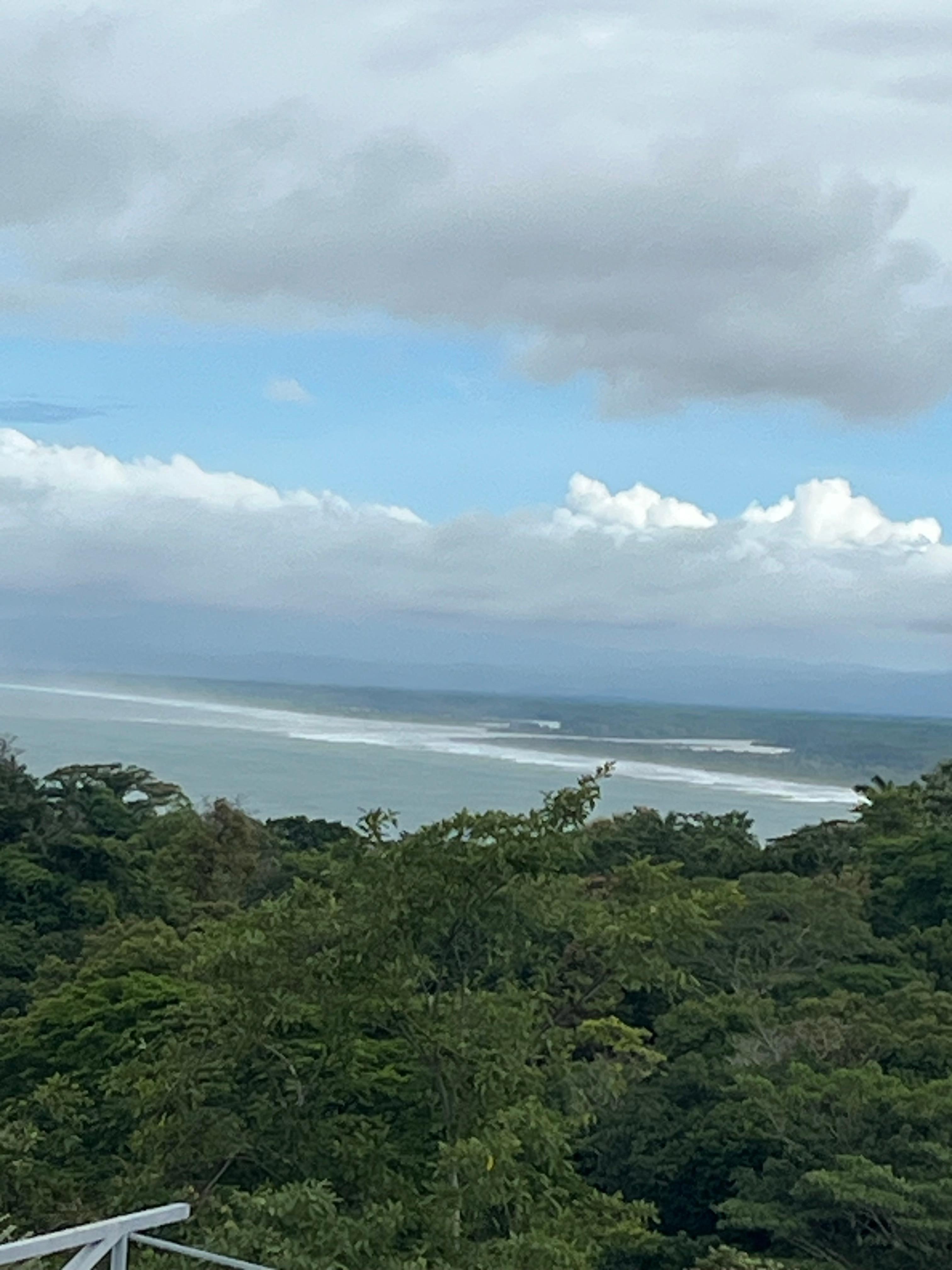 Restaurant view 2
