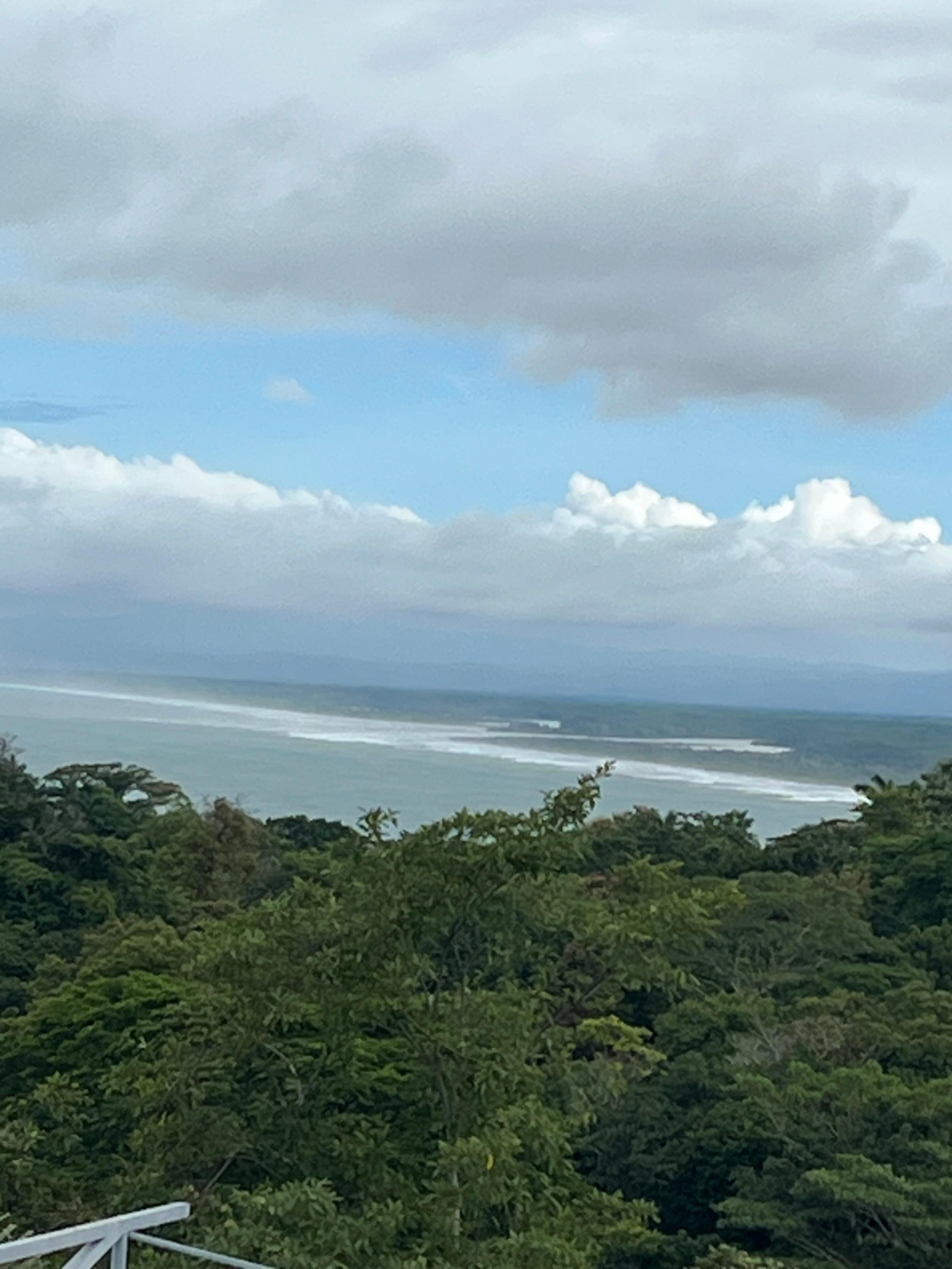 Restaurant view 2