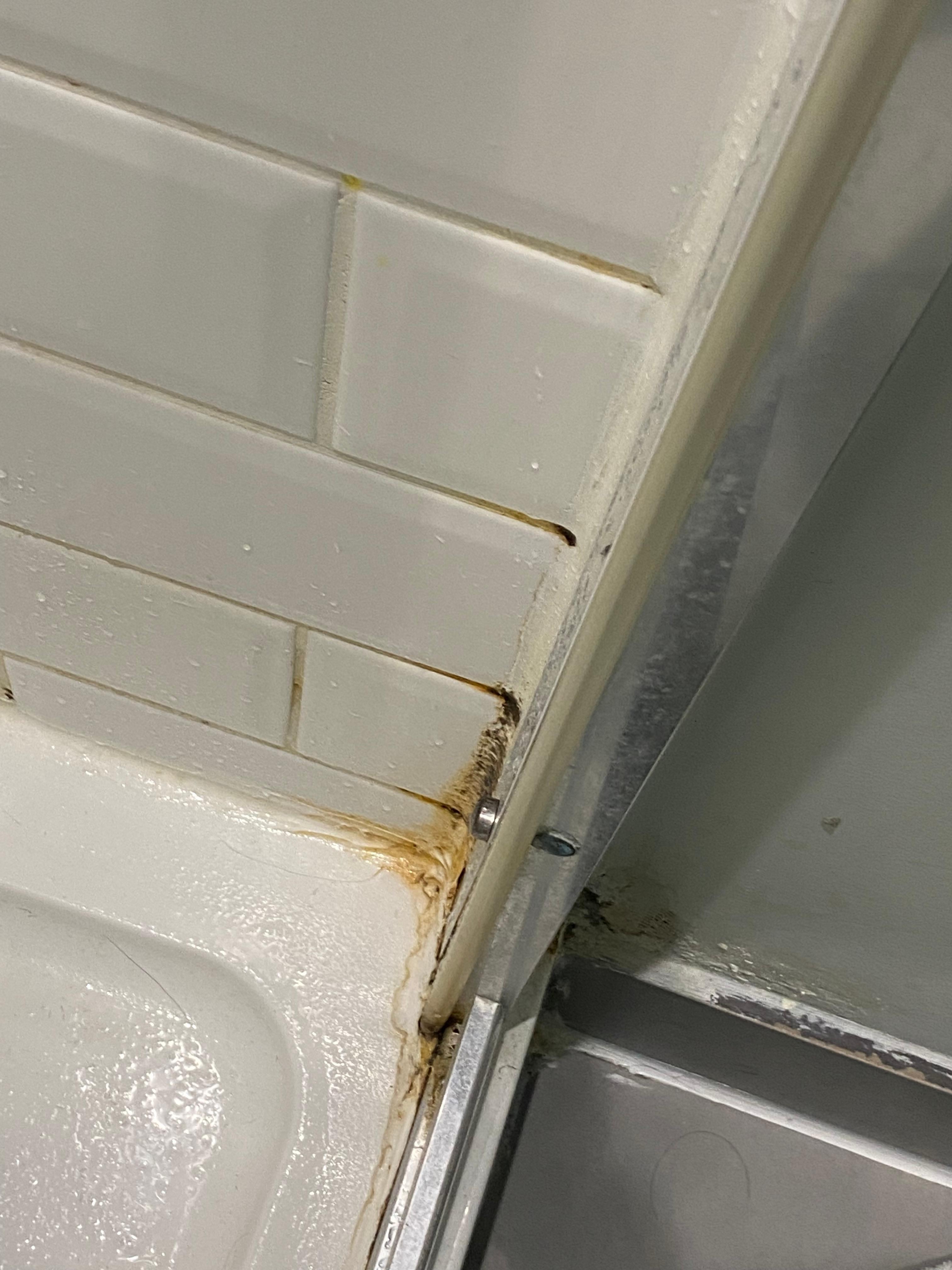 Ewww. And a short three minute shower left the basin overflowing with water. 